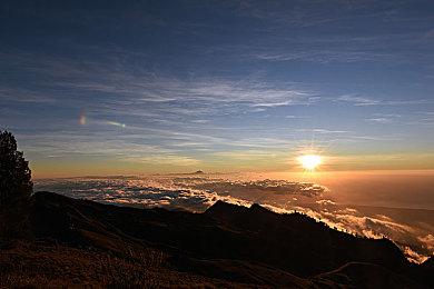 2023年高分大作井喷式爆发 数量为近20年之最